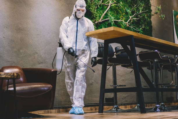 Restaurant Cleaning Sydney: Why Hygiene Makes or Breaks Your Kitchen